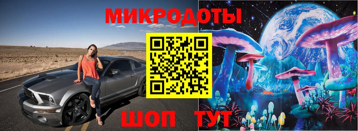 Псилоцибиновые грибы MAGIC MUSHROOMS  Галлюциногенные грибы Psilocybine cubensis  где купить наркотик  Елизово  Вход с VPN 