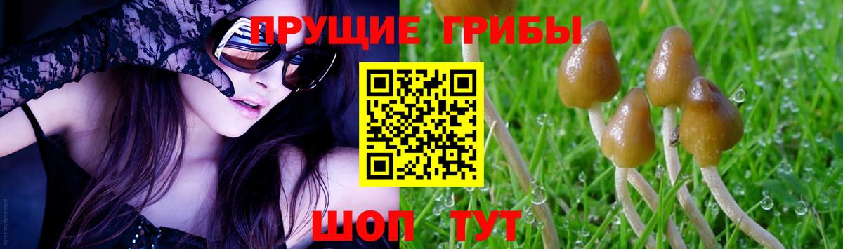 Псилоцибиновые грибы мухоморы Елизово