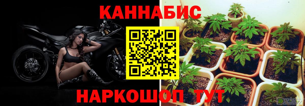 Каннабис конопля  Вход с VPN  Бошки марихуана OG Kush  Елизово 